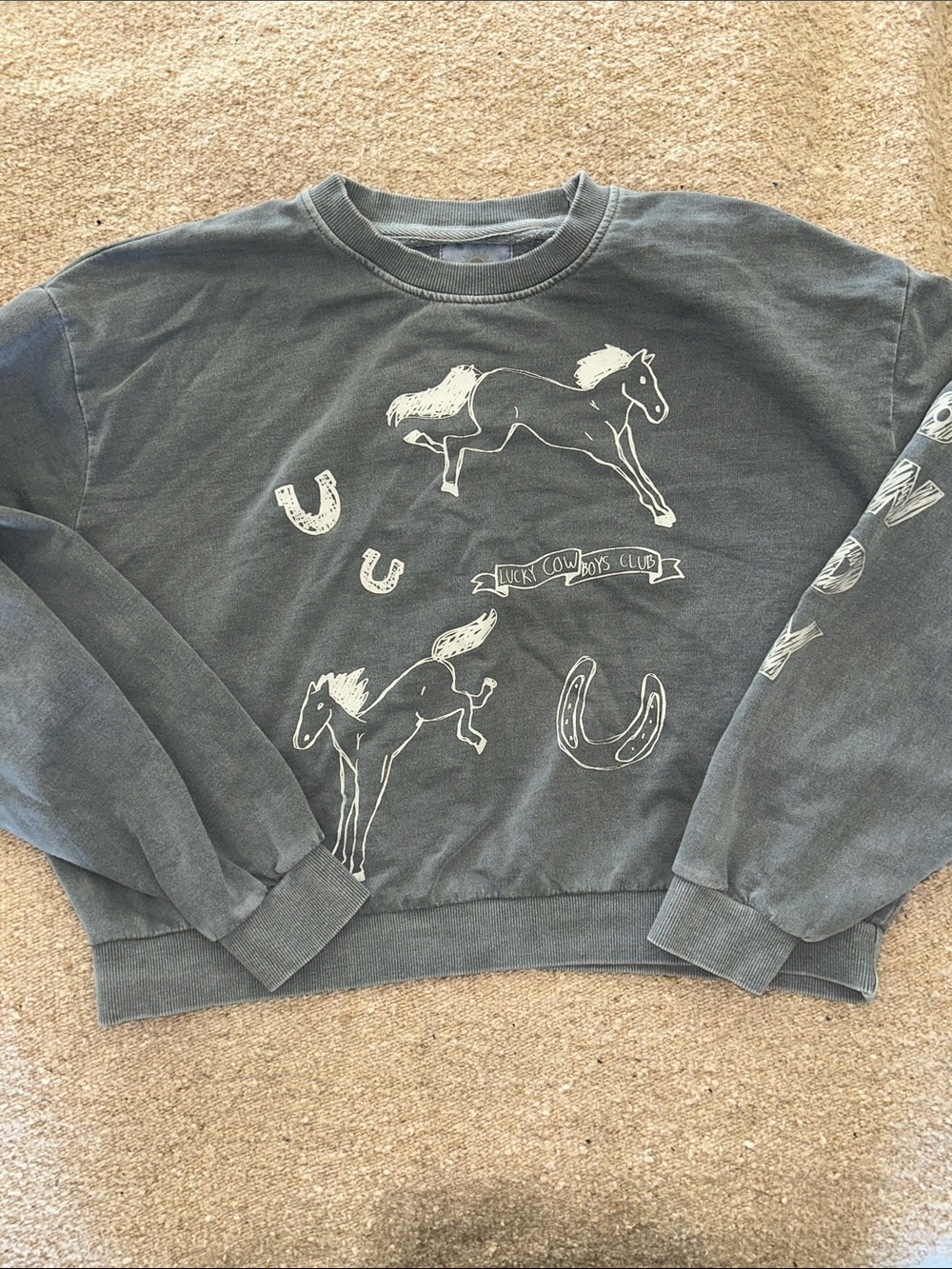 Women's Steel Gray Graphic Crewneck Sweatshirt with Horses